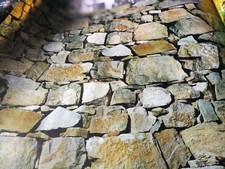 Aquarium , fish tank