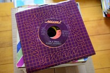 ALBERT HAMMOND "BRAND NEW DAY