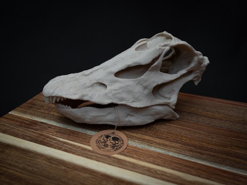 Scaled down diplodocus - scaled,