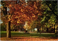 Postcard - The Park