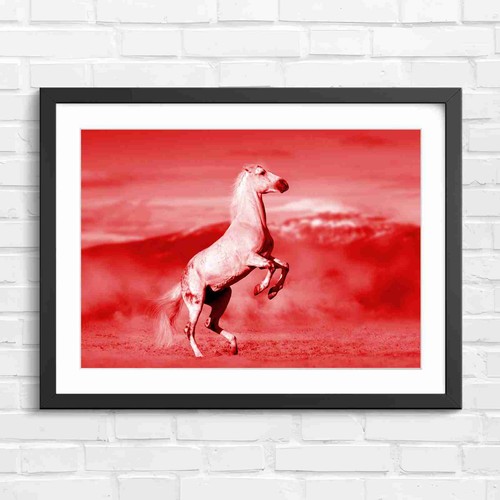 Rearing white horse dust - white,