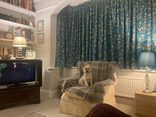 Pair of Curtains - French