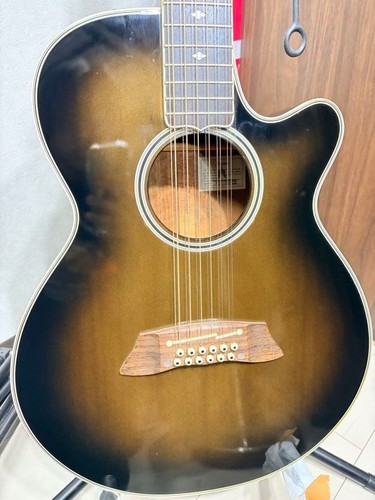 Takamine npt110 string - npt110-12, 12-string