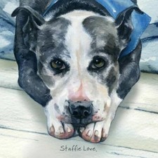 Staffordshire Terrier Little