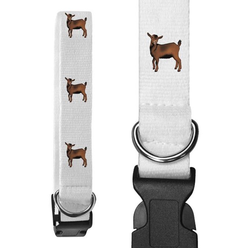 Pygmy goat dog collars - 'pygmy, goat'