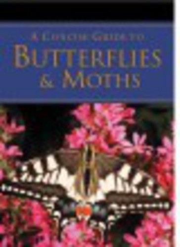 Concise guide butterflies - guide, to