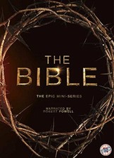 The bible tv miniseries - the,