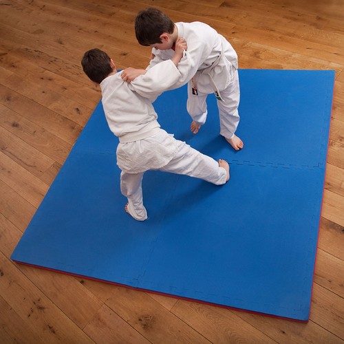 Martial arts floor mats 20mm - arts,