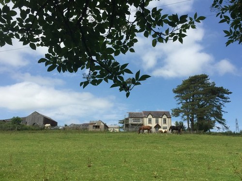 Photo 12x8 farm llanelli - farm,