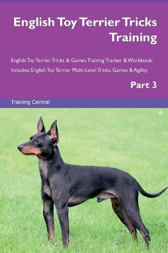 English toy terrier tricks - terrier,