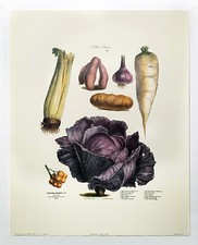 Vilmorin Fruit & Vegetable