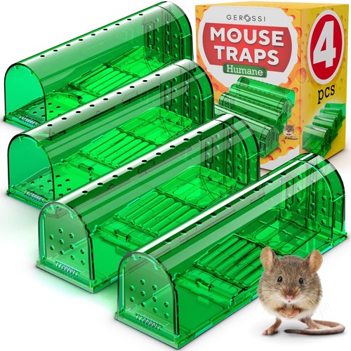 Mouse trap humane live indoors - mouse,