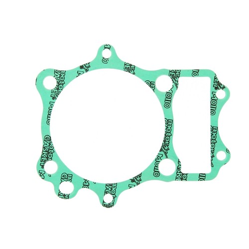 Cylinder base gasket - cylinder,
