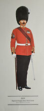 Regimental Sergeant-Major, Welsh Guards - Vintage Hugh Evelyn Military Print