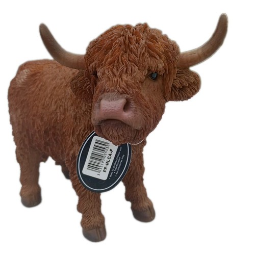 Vivid arts highland - highland, cow