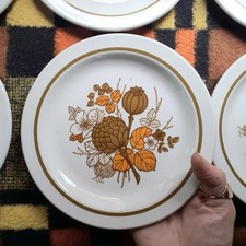 Mid Winter 70s Dinner Plates Orange Vintage Retro Staffordshire Pottery