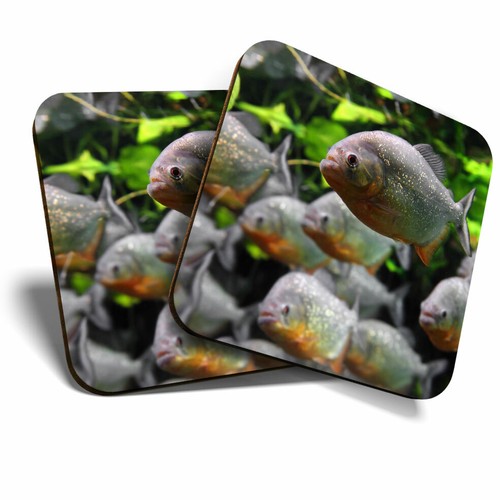 Coasters aquarium - 2,
