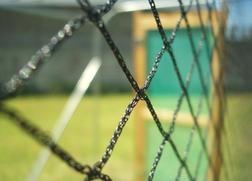Fruit netting anti bird - netting,