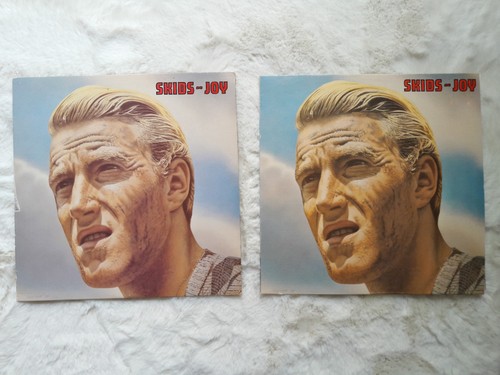 Skids joy vinyl lp album - skids,