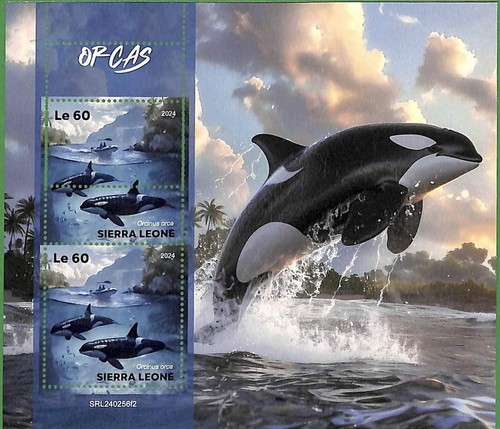 B2619 sierra leone error - -,