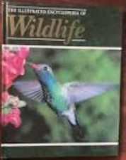 Orbis: The Illustrated