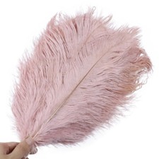 10Pcs Large Ostrich Feathers