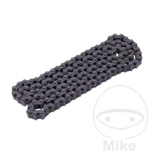 BorgWarner Endless Cam Chain