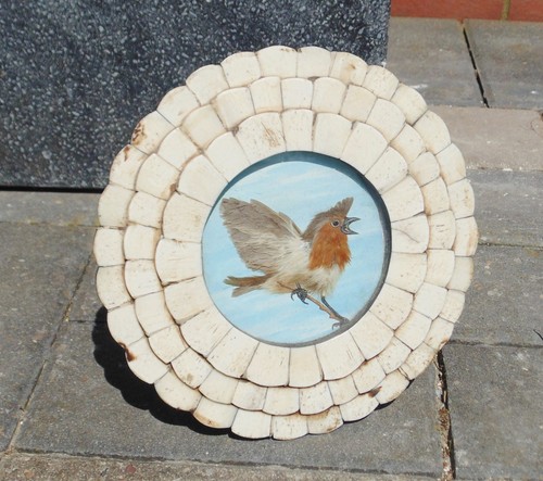 Bovine round picture - round,