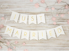 Just Married Banner (1 Pack)