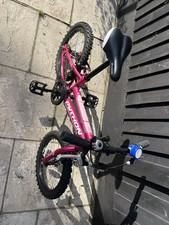 Python Rock 16-Inch 2024 Kids