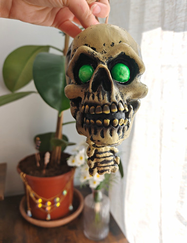Halloween shrunken head - halloween,