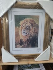 Stephen Gayford, Limited