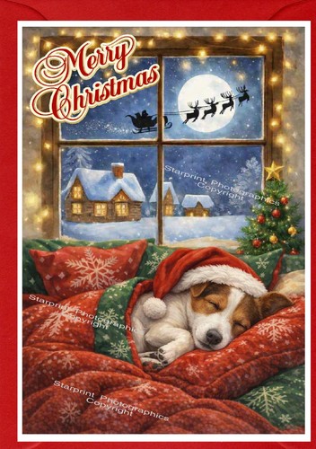 Jack russell terrier - terrier, dog