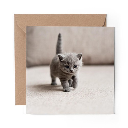 Blank greeting card - x,