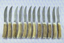 12 Twelve Hump Back Genuine