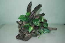 Vivarium reptile corner - reptile, trunk