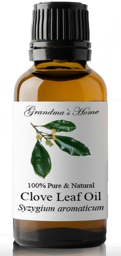 Clove leaf essential - leaf,