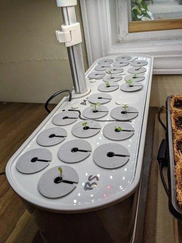 Aerogarden seed starter tray - aerogarden,