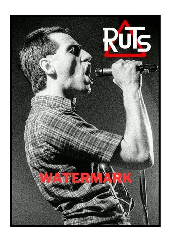 The ruts poster - the,