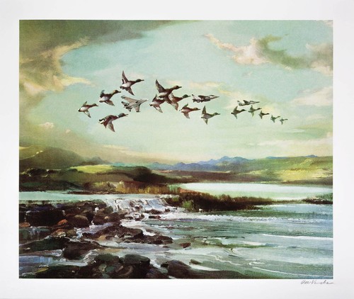 Flying high gee vaucher - gee, nature