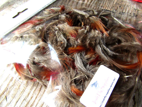 Ifs natural golden - ifs,
