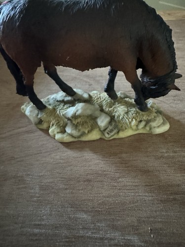 Teviotdale pony wallis - teviotdale, a
