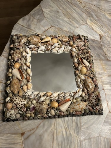 Vintage real seashell - real,