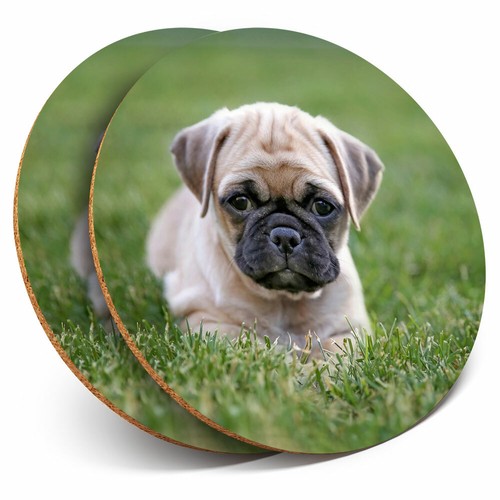 Coasters adorable pug - 2,