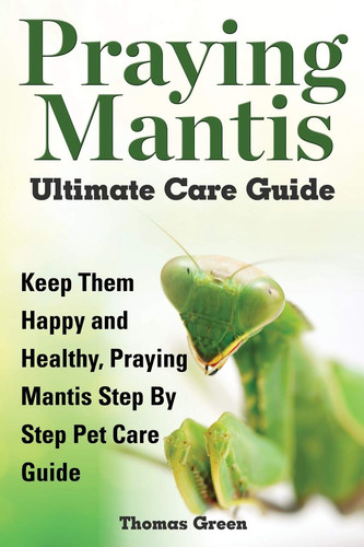 Praying mantis ultimate - praying,