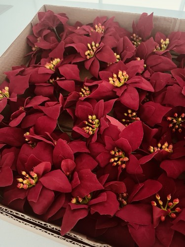 Poinsettia picks red - poinsettia, picks.