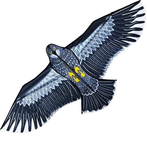 Inch eagle kite with - 59,