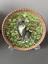 Meet My Kittens July Gemma