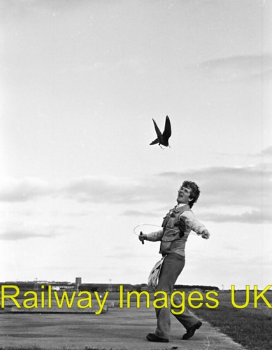 Photo airfield birdman - birdman, of