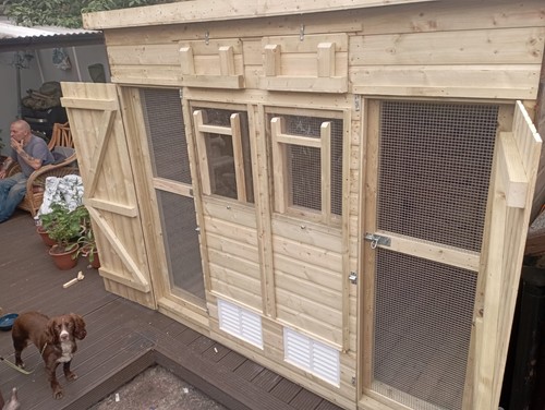 Deluxe pigeon loft custom - ,